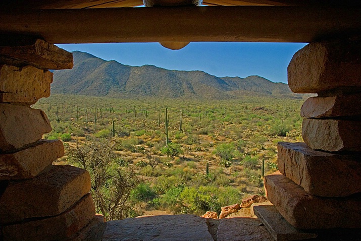 Saguaro National Park - ID: 3907375 © Donald R. Curry