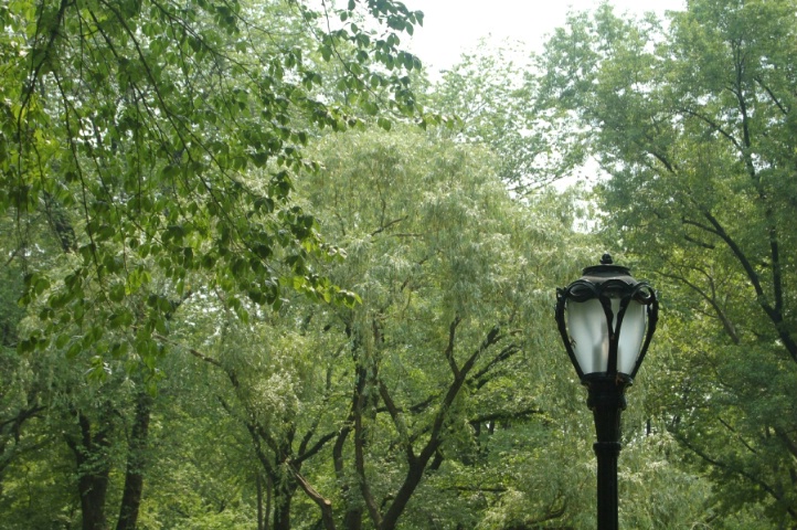 Lamp in the Park 2