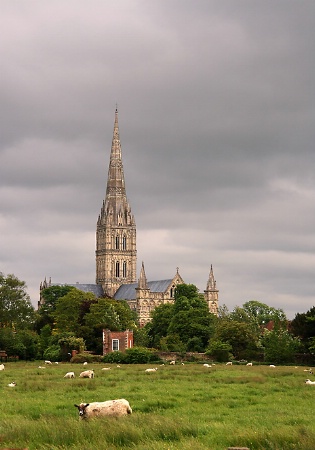 Salisbury Flock