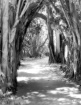 Path to 