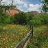2Spring in Palo Duro Canyon - ID: 3930339 © Sherry Karr Adkins