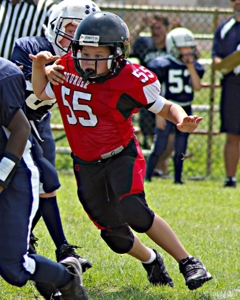 for the love of the game