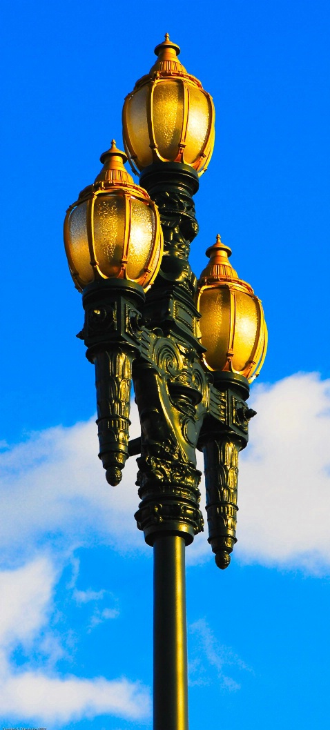 GOLDEN  LAMPS