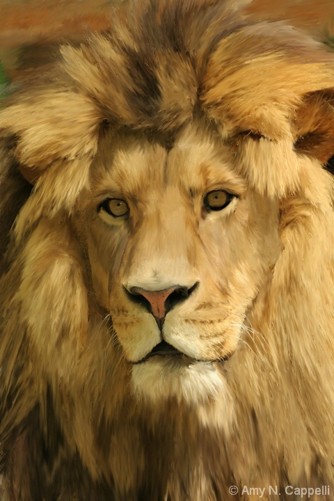 Lion