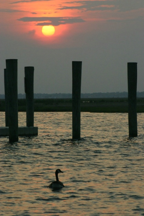 sunset on Long Island
