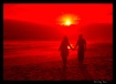 Hot Summer Love