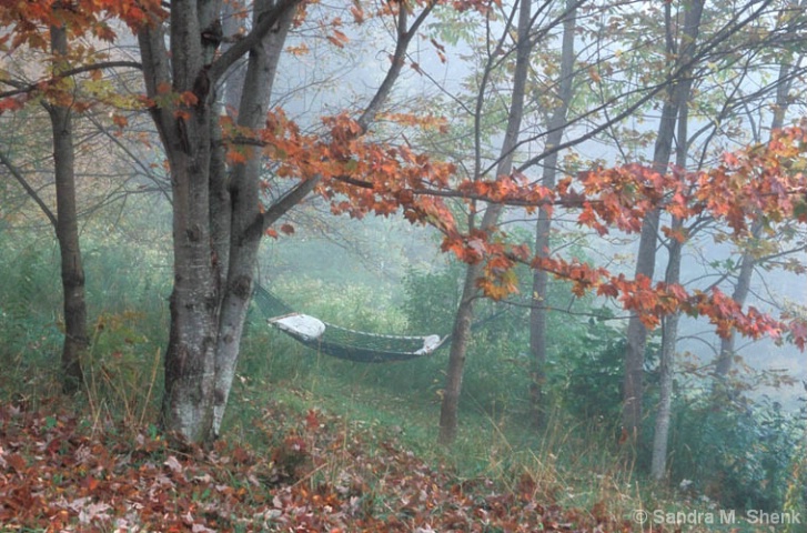 Hammock in Autumn - ID: 3946021 © Sandra M. Shenk