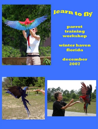 parrot training workshop