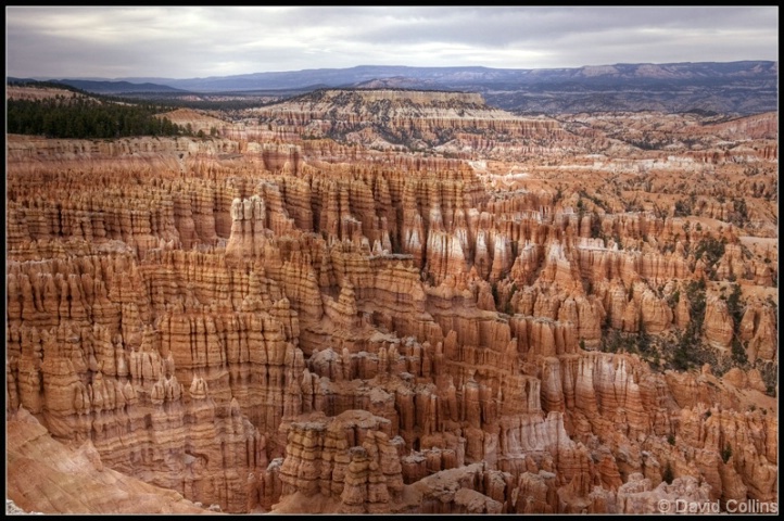 The Hoodoo's of Bryce Canyon