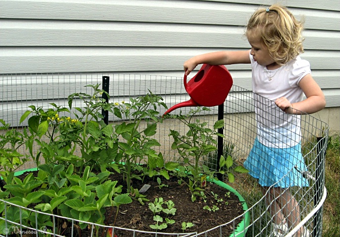 The Gardener