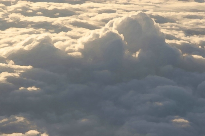 Head in the Clouds - ID: 3969385 © Agnes Fegan