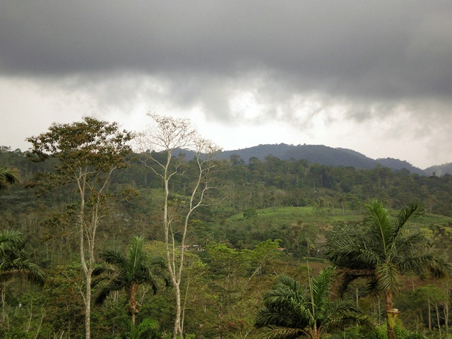 Brewing Storm in Costa Rica