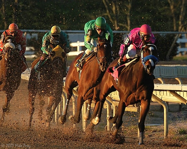 Racing in the Mud