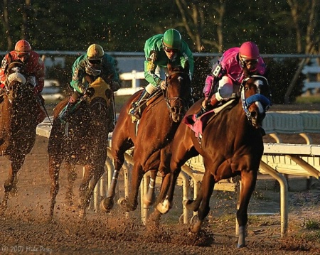 Racing in the Mud