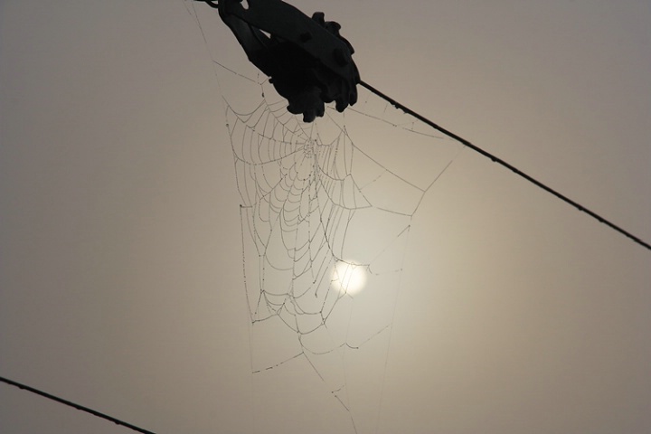 Sun caught in a spider's web
