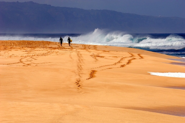 Surf's Up