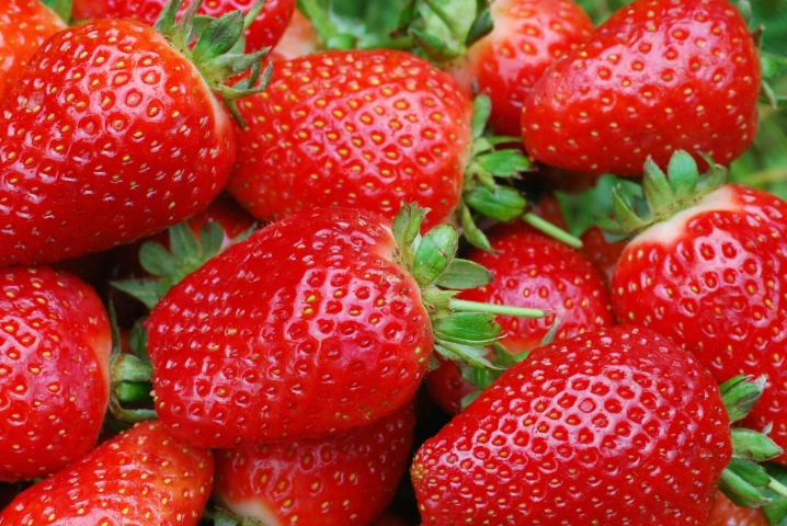 strawberry_delight_1