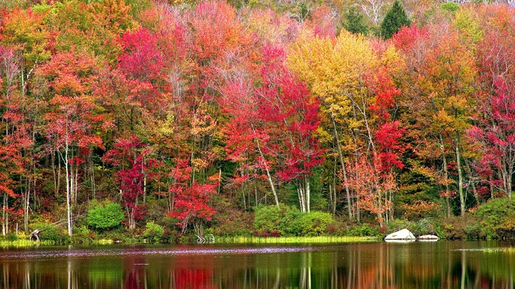 Autumn at Round Pond