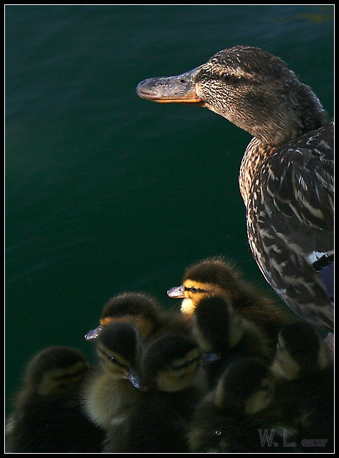 Generations in spot light