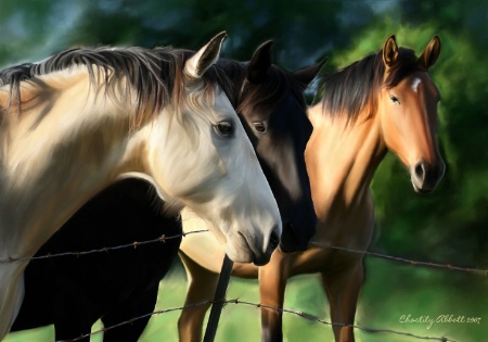 Three Beauties