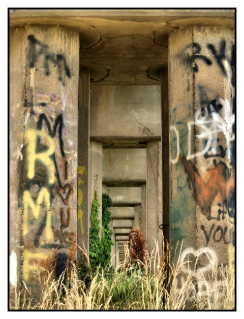 "Graffiti Under The Bridge"