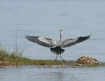 Safe Landing