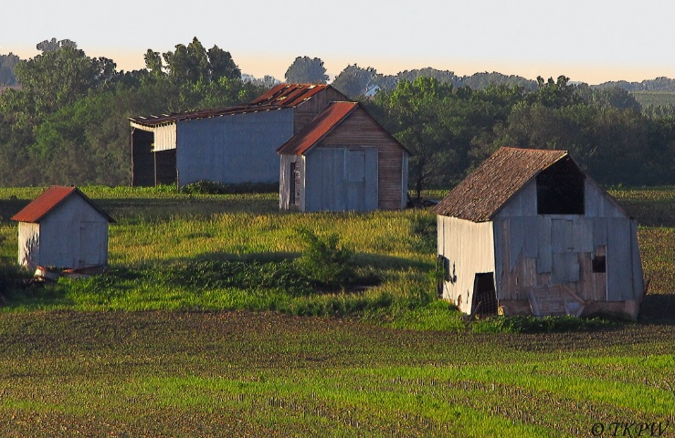 Old Homestead