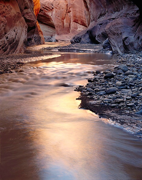 Reflections, Paria Canyon, Utah