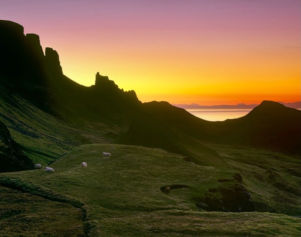 Skye Light