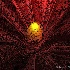 © Amy G. McMillan PhotoID # 4033404: Faux Flower