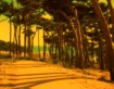 Pacific Coast