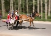 Horse "Taxi&#...