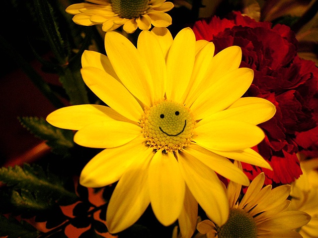 Flower Power.......Smile.........Be Happy