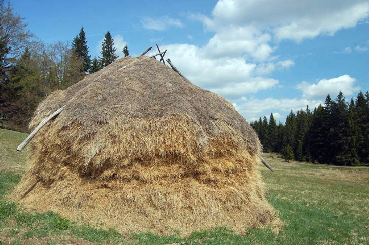 Haystack in Serbia