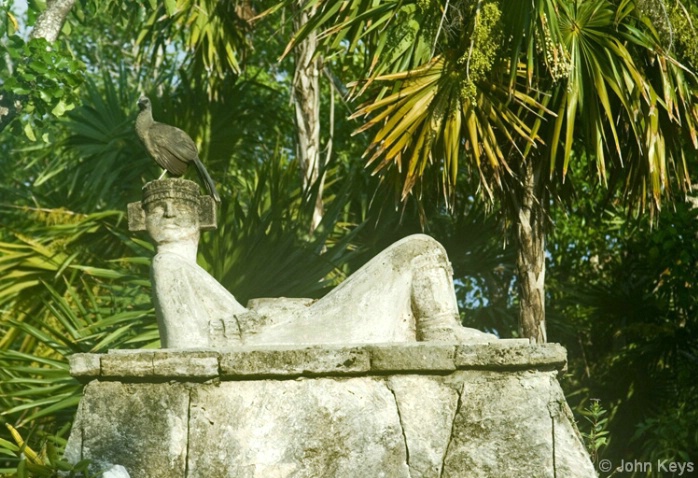 Mayan Figure with Avian Friend