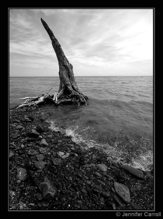 By the Shore