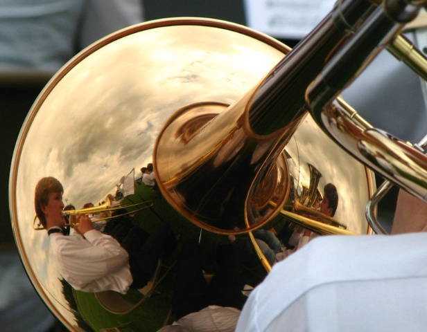 Brass Horn Reflection