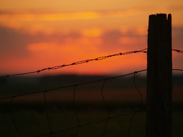 "Dawn's Last Light"