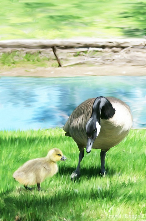 Concerned Mother Goose