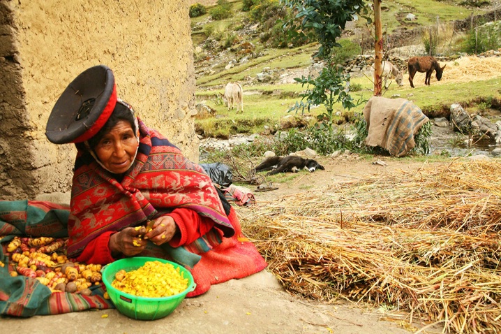 Preparing the meal