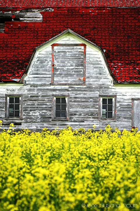 Barn in Bloom