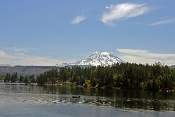 A June View of Mt. Rainier