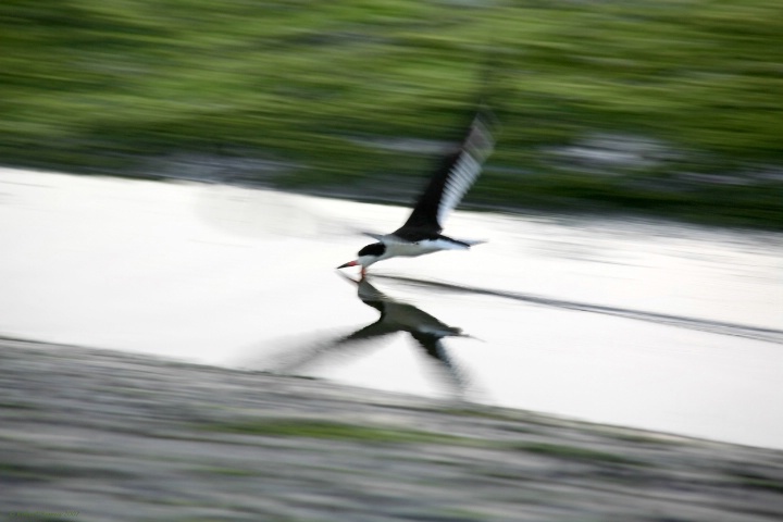 img7