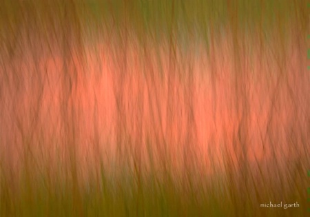 Grass Field