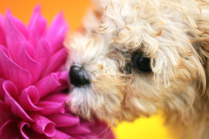 Time to Smell the Flowers