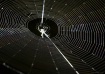 itsy bitsy spider