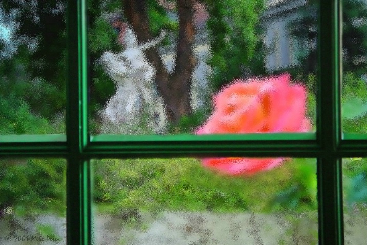 The Garden Window - ID: 4101959 © Mike D. Perez