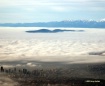 Puget Fog and Sea...