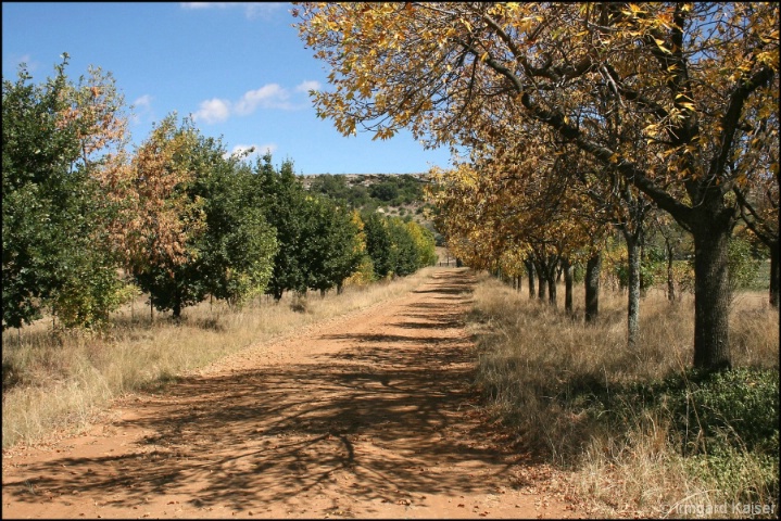 Freestate farm road