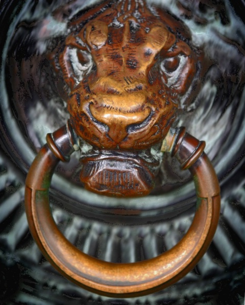 Paris Door Knocker